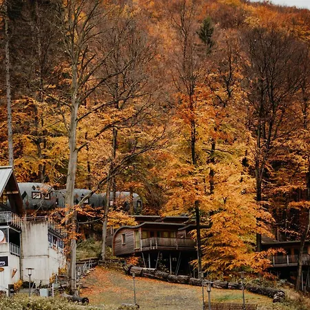 Sonnenresort Ettershaus מלון באד הרצבורג