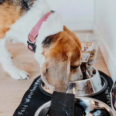 Sonnenresort Ettershaus 4*