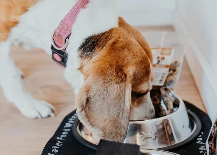 Sonnenresort Ettershaus 4*